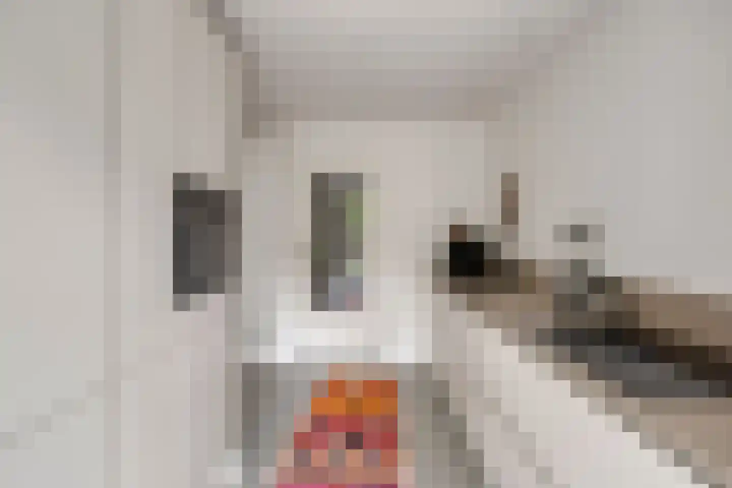 Jan van de Capellelaan 21 Eindhoven thumbnail 11
