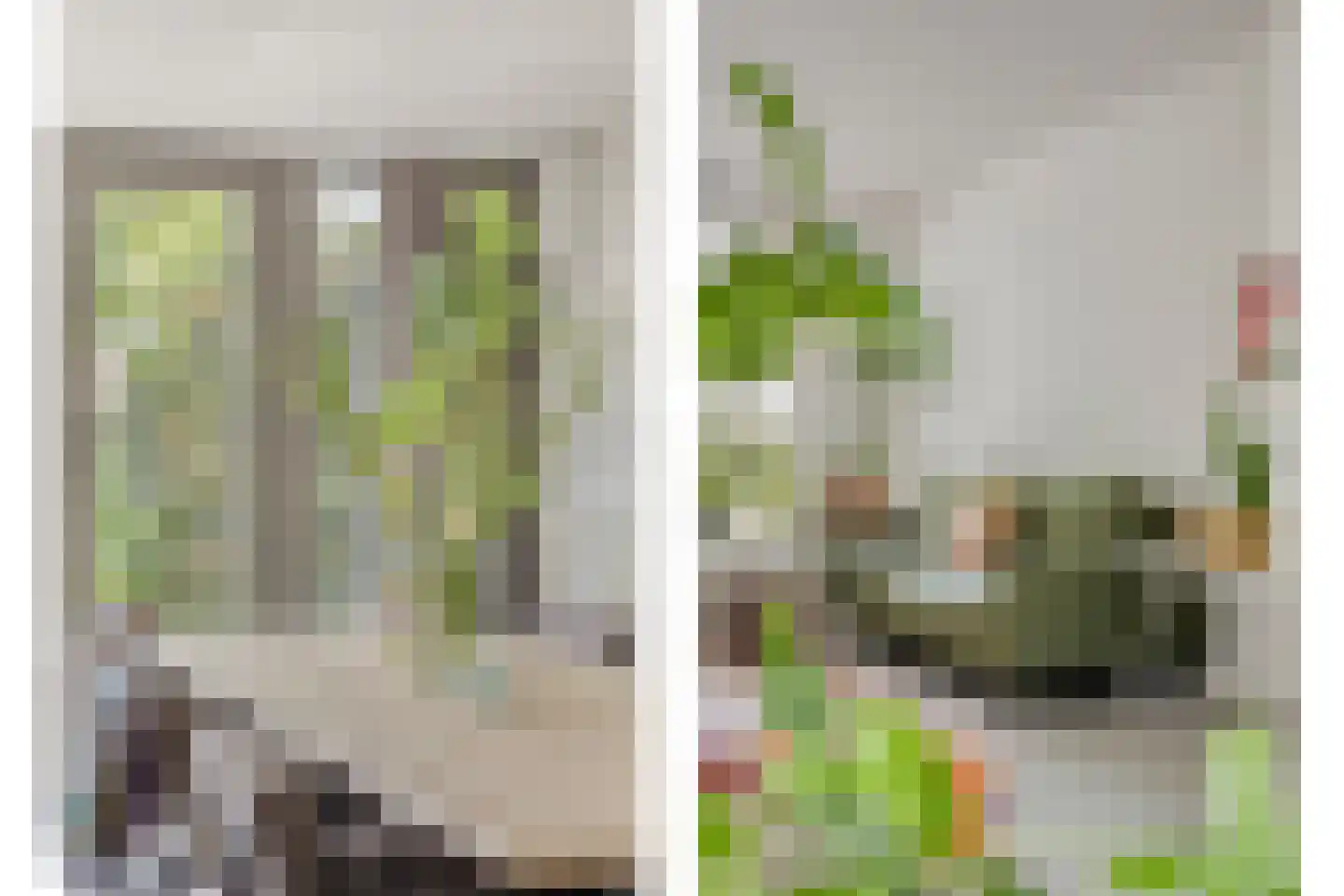 Jan van de Capellelaan 21 Eindhoven thumbnail 17