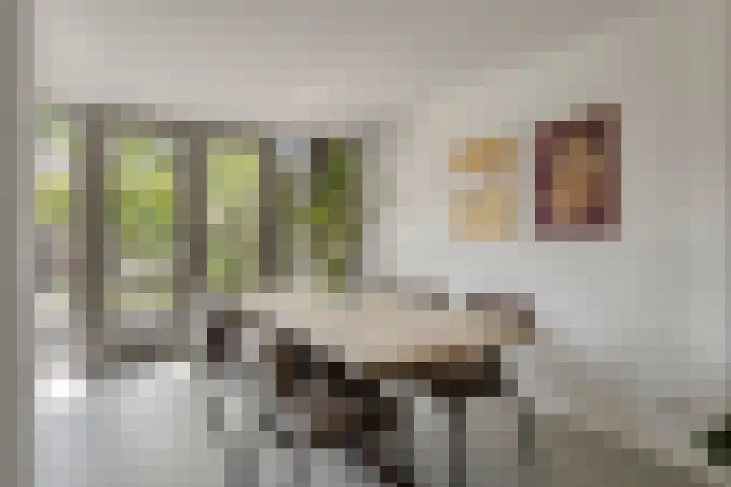 Jan van de Capellelaan 21 Eindhoven thumbnail 18