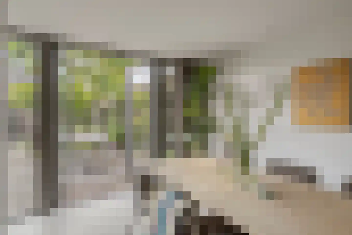 Jan van de Capellelaan 21 Eindhoven thumbnail 21