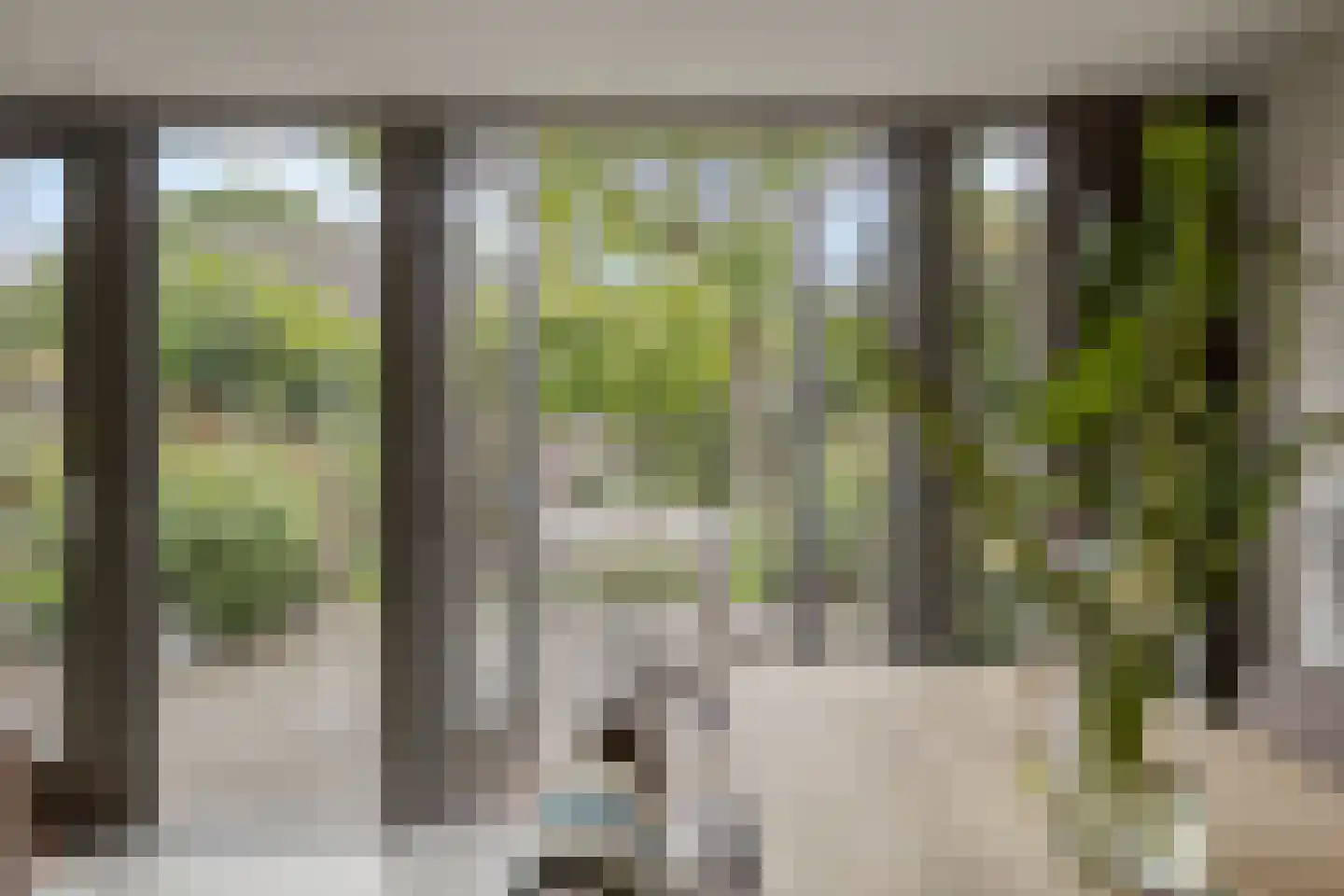 Jan van de Capellelaan 21 Eindhoven thumbnail 22