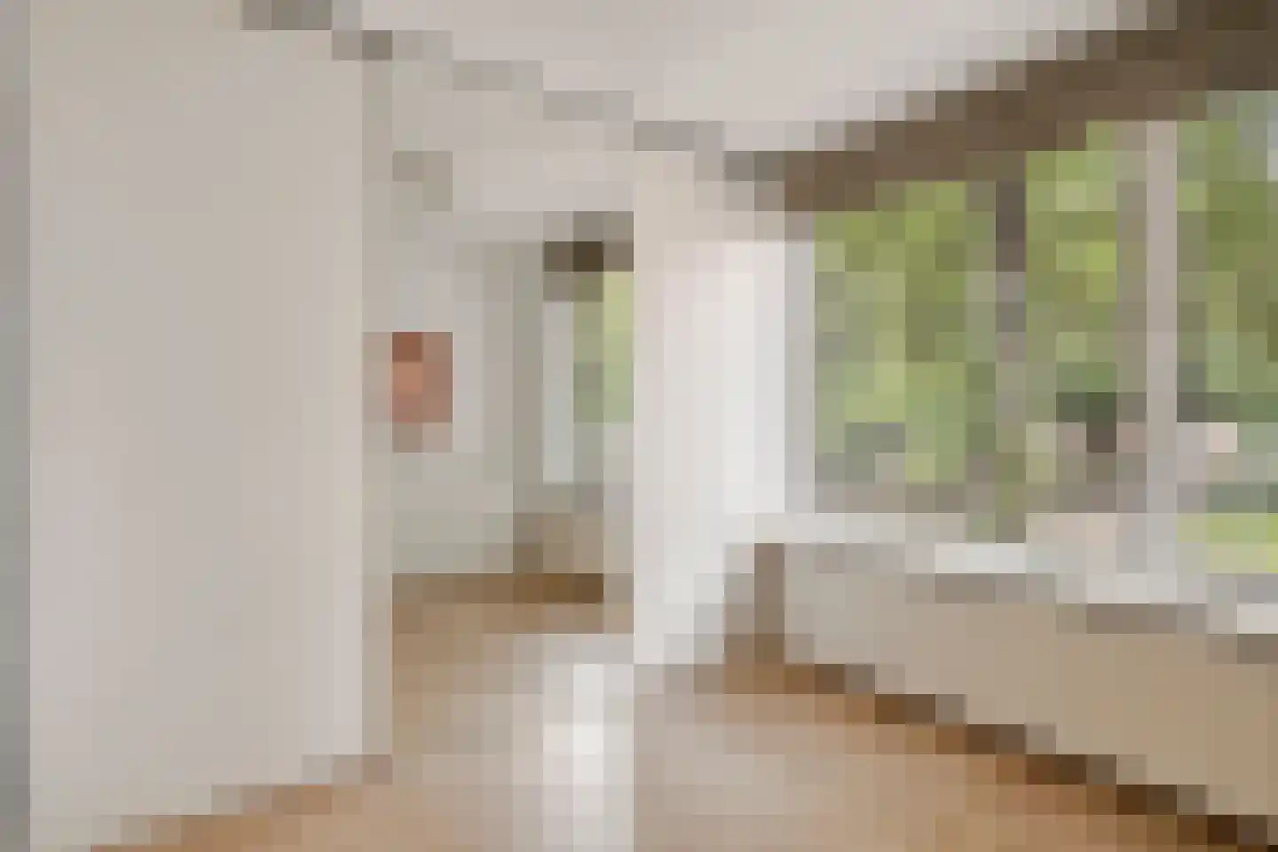 Jan van de Capellelaan 21 Eindhoven thumbnail 27