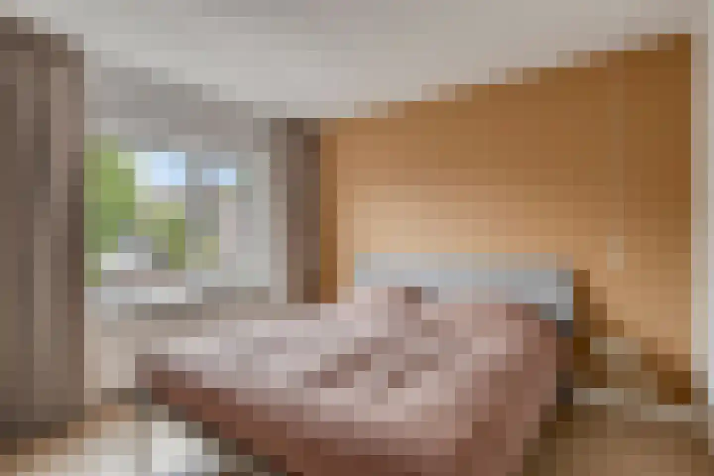 Jan van de Capellelaan 21 Eindhoven thumbnail 4