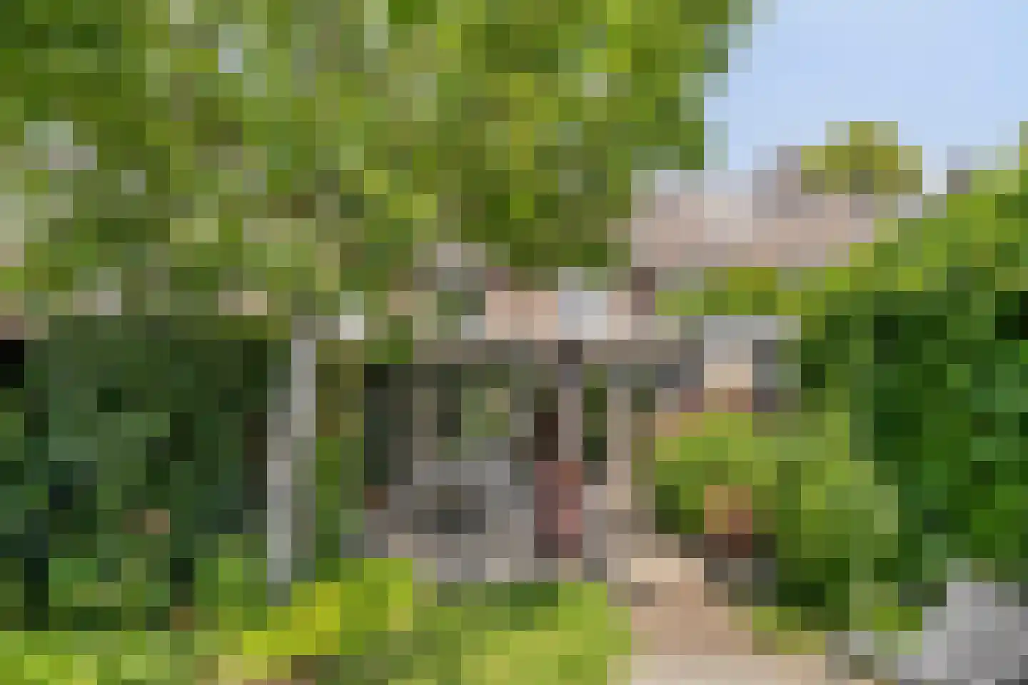 Jan van de Capellelaan 21 Eindhoven thumbnail 41