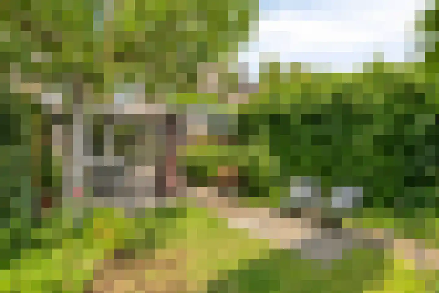 Jan van de Capellelaan 21 Eindhoven thumbnail 42