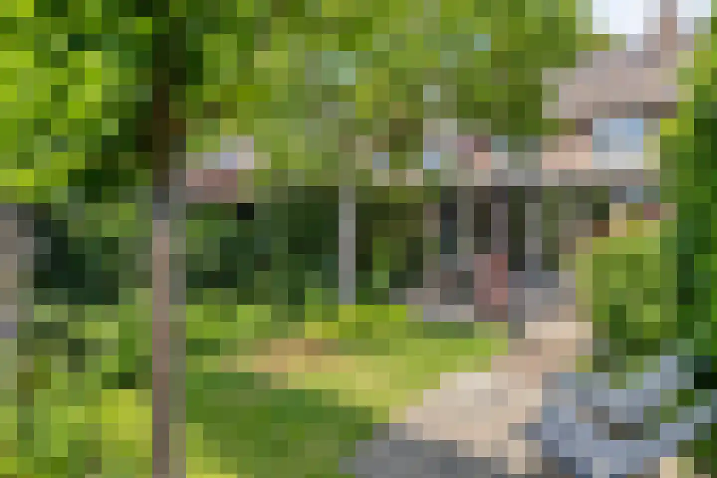 Jan van de Capellelaan 21 Eindhoven thumbnail 43