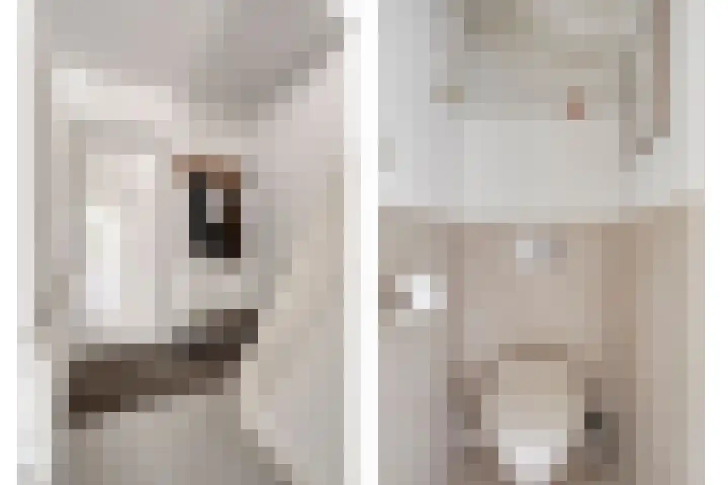 Jan van de Capellelaan 21 Eindhoven thumbnail 8