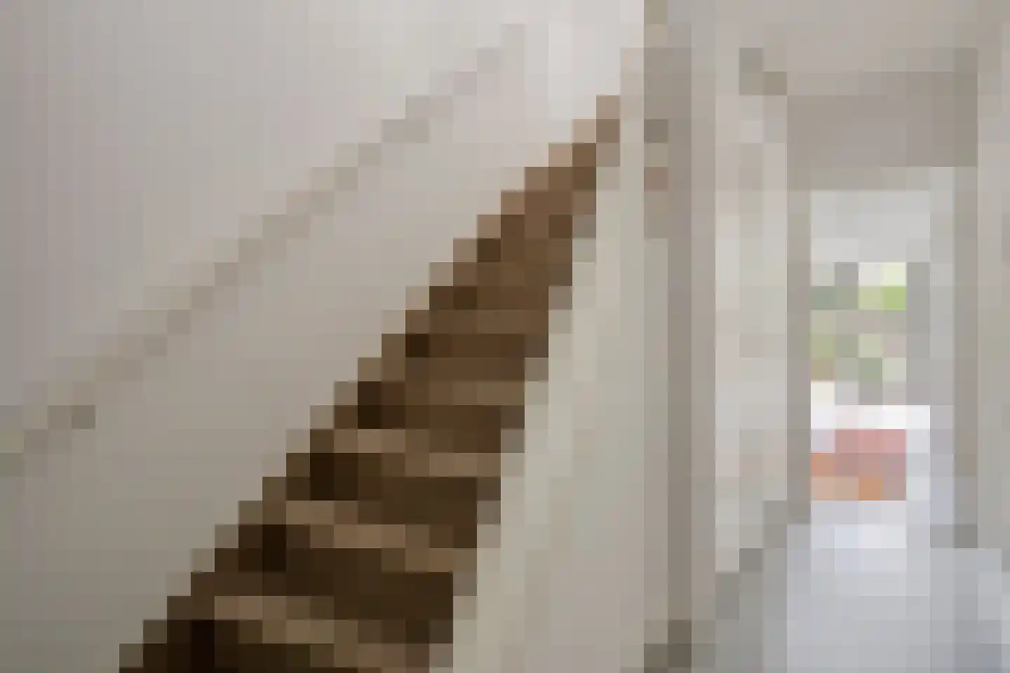 Jan van de Capellelaan 21 Eindhoven thumbnail 9