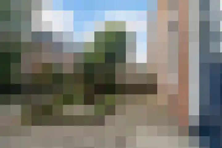 Jan van de Capellestraat 4 Leeuwarden thumbnail 7