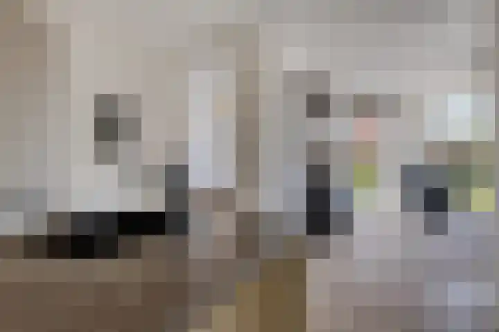 Jan van de Cappelle 28 Creil thumbnail 16