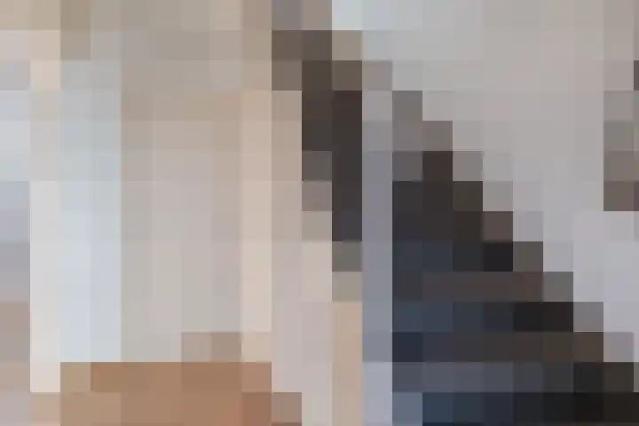 Jan van de Cappellestraat 2 Krimpen aan den IJssel thumbnail 11