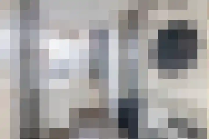 Jan van de Cappellestraat 2 Krimpen aan den IJssel thumbnail 34