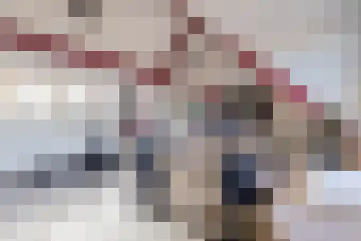 Jan van de Cappellestraat 2 Krimpen aan den IJssel thumbnail 39