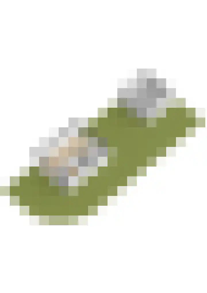 Jan van de Cappellestraat 2 Krimpen aan den IJssel thumbnail 50