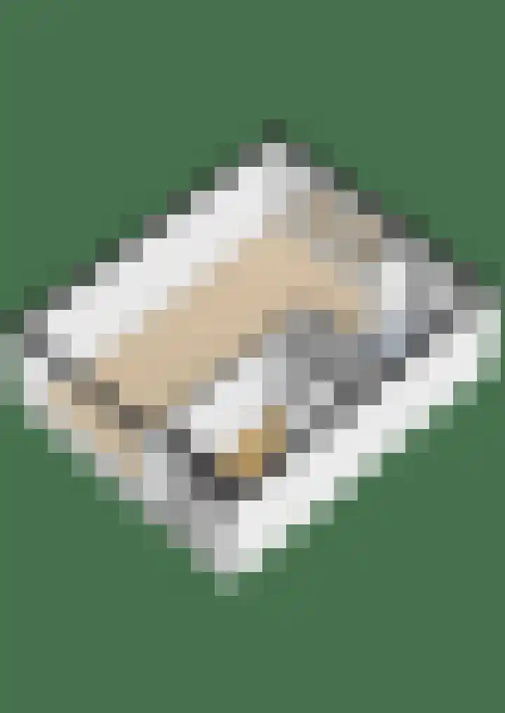 Jan van de Cappellestraat 2 Krimpen aan den IJssel thumbnail 52