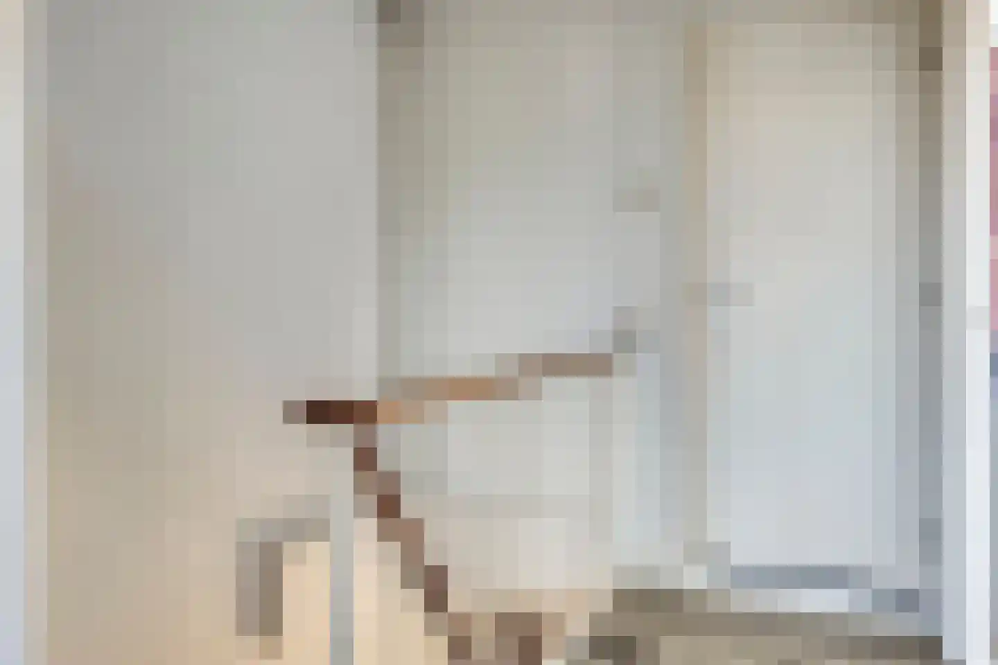 Jan van de Cappellestraat 20 Krimpen aan den IJssel thumbnail 25