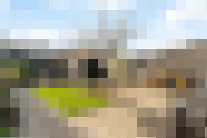 Jan van de Cappellestraat 28 Krimpen aan den IJssel thumbnail 25