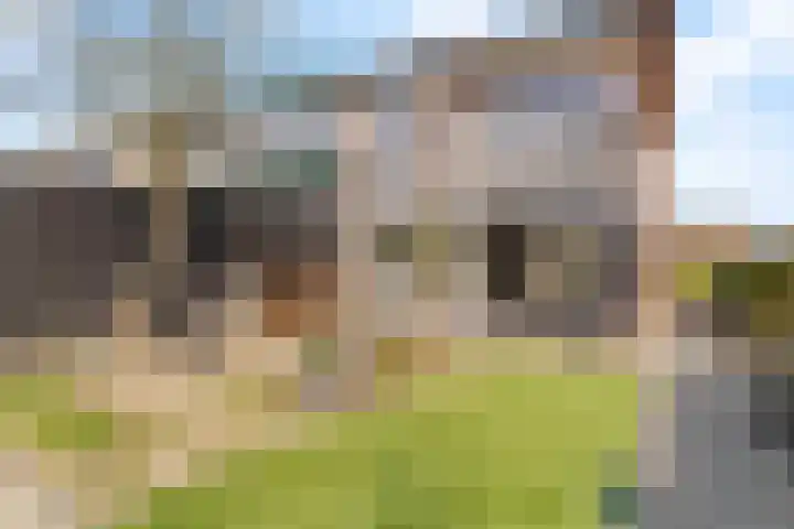 Jan van de Cappellestraat 28 Krimpen aan den IJssel thumbnail 27