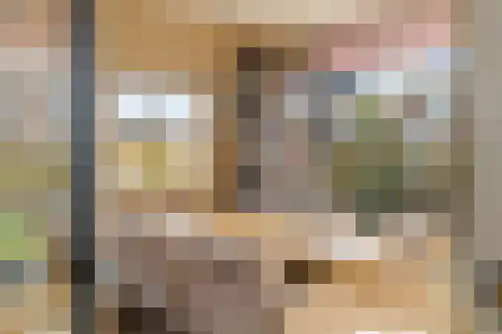 Jan van de Cappellestraat 28 Krimpen aan den IJssel thumbnail 5