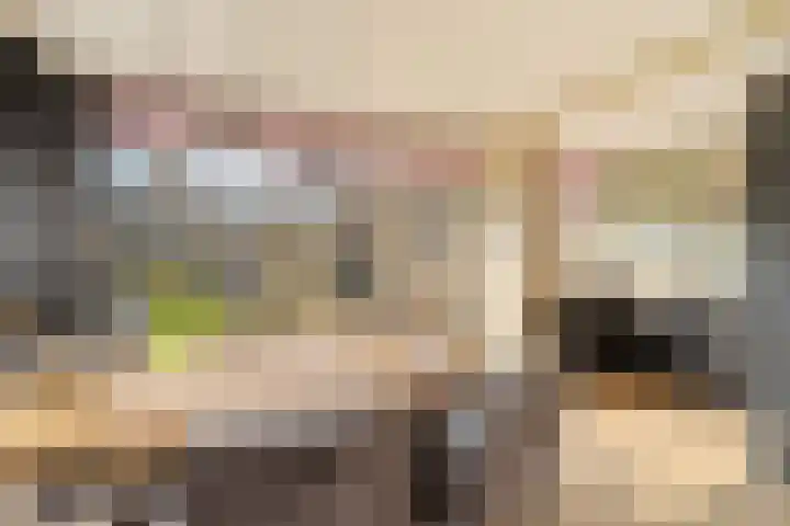 Jan van de Cappellestraat 28 Krimpen aan den IJssel thumbnail 7