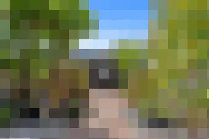 Jan van de Cappellestraat 44 Krimpen aan den IJssel thumbnail 12