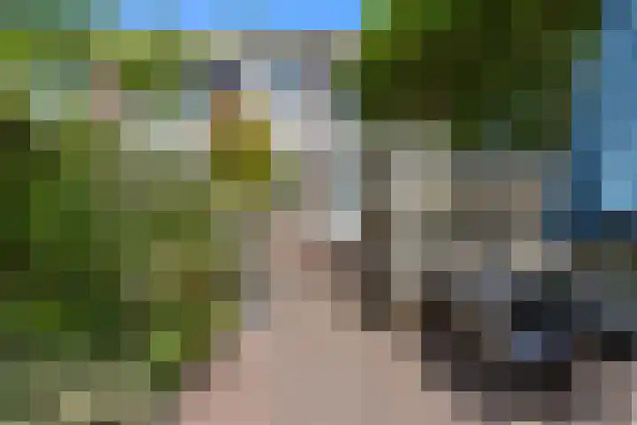 Jan van de Cappellestraat 44 Krimpen aan den IJssel thumbnail 14
