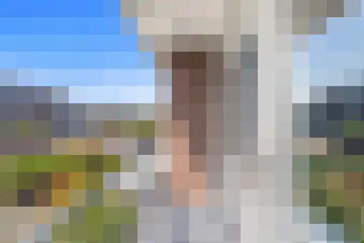 Jan van de Cappellestraat 44 Krimpen aan den IJssel thumbnail 22