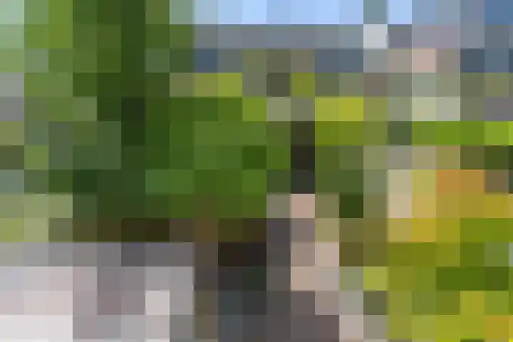Jan van de Cappellestraat 44 Krimpen aan den IJssel thumbnail 29
