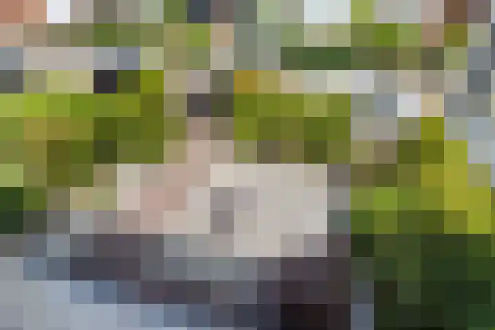 Jan van de Cappellestraat 44 Krimpen aan den IJssel thumbnail 30