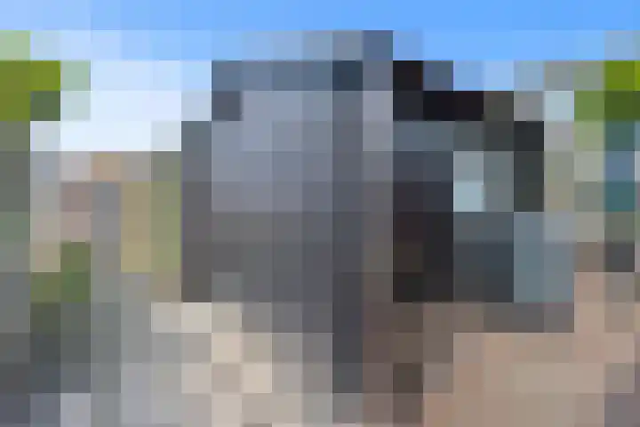 Jan van de Cappellestraat 44 Krimpen aan den IJssel thumbnail 34