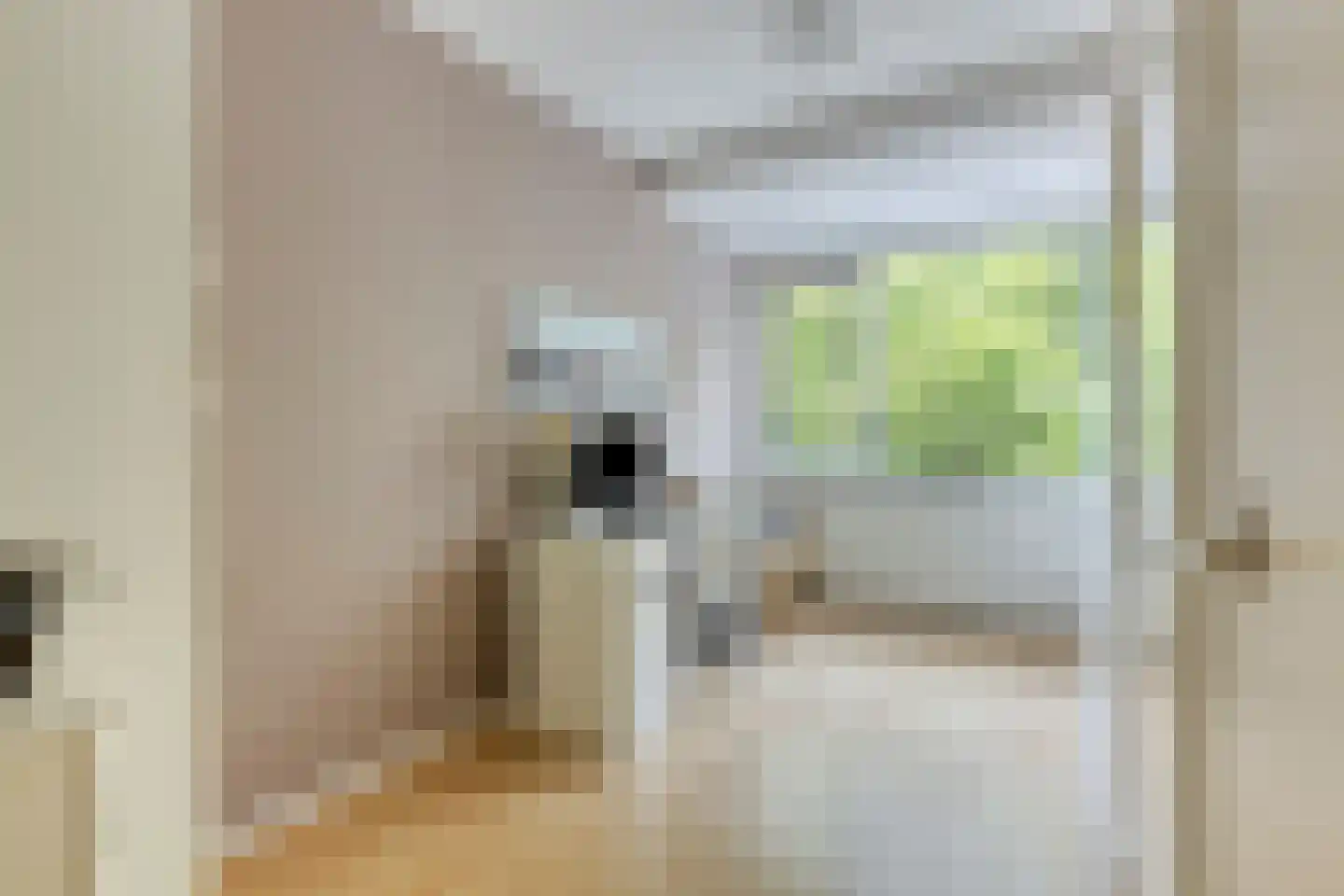 Jan van Delftstraat 27 Rosmalen thumbnail 21