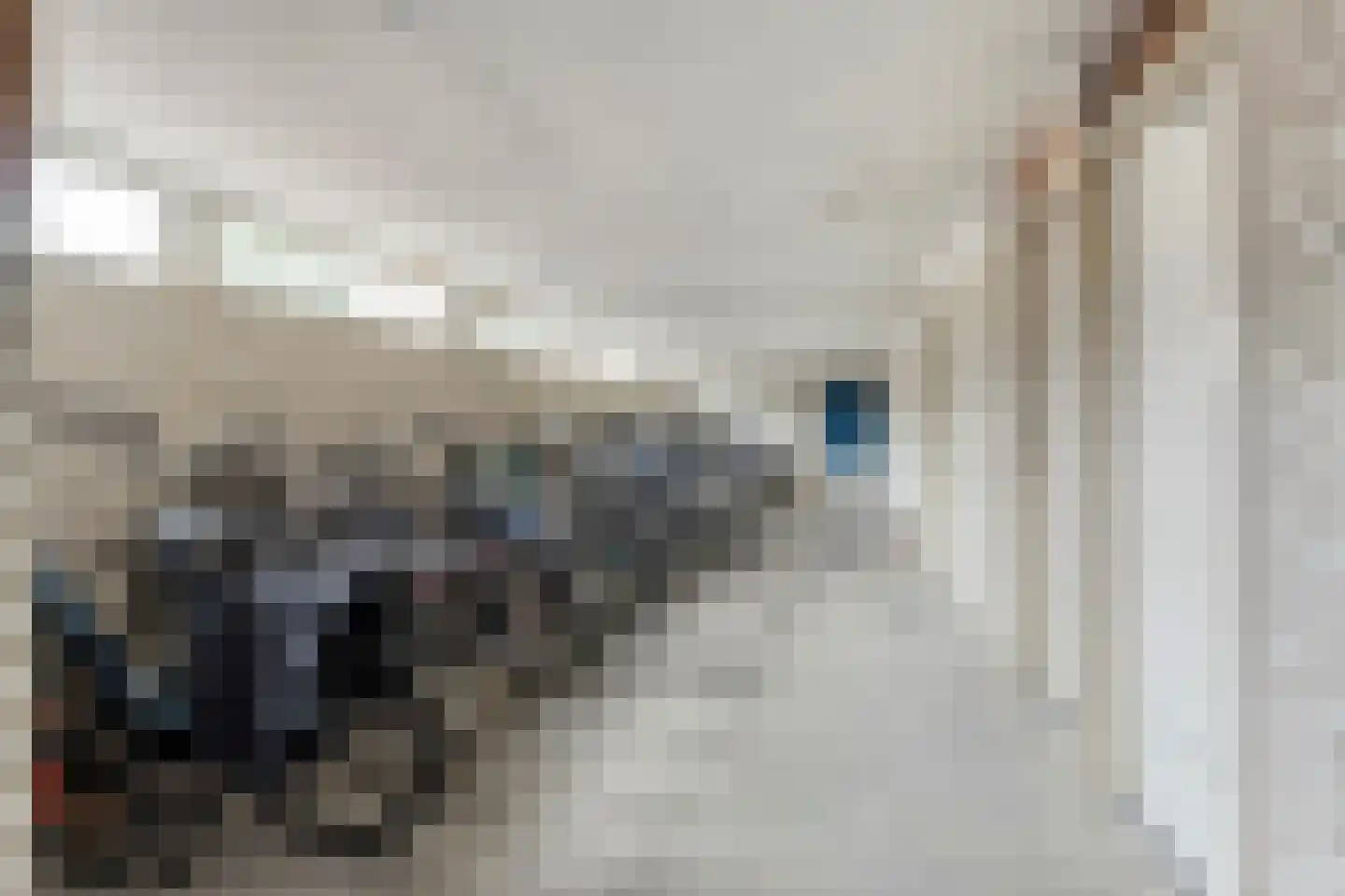 Jan van Delftstraat 27 Rosmalen thumbnail 26