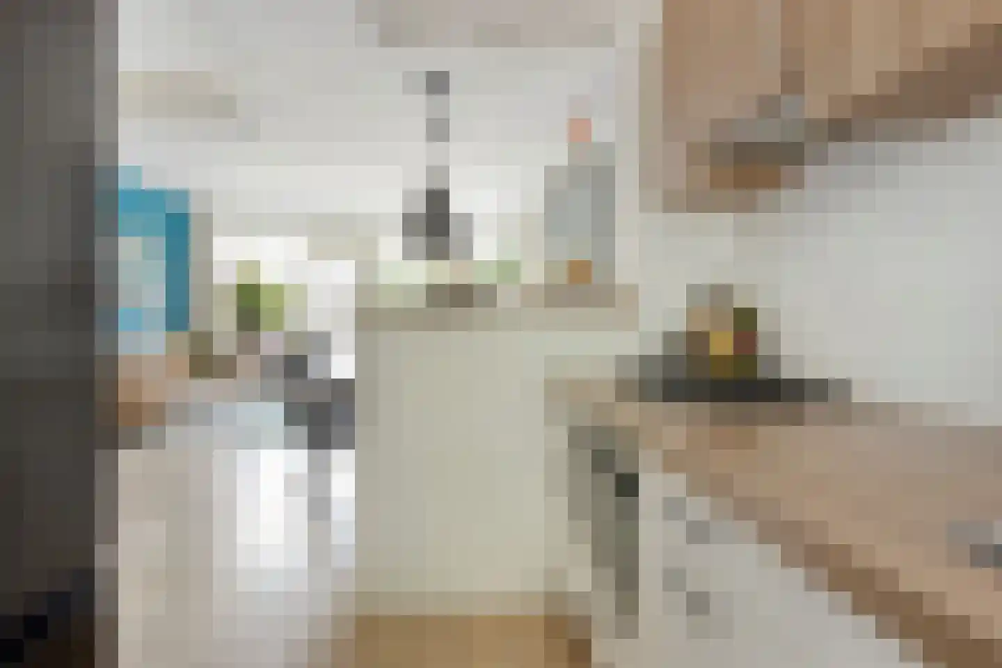 Jan van Delftstraat 27 Rosmalen thumbnail 6