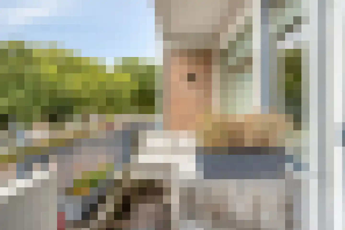 Jan van Delftstraat 27 Rosmalen thumbnail 8