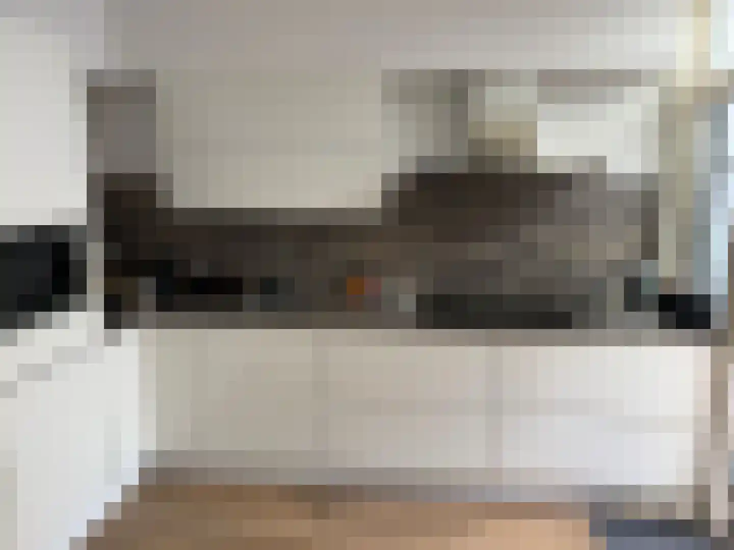 Jan van Delftstraat 3 Rosmalen thumbnail 4