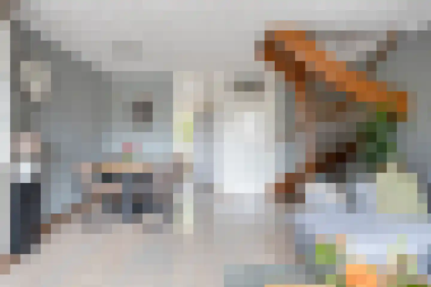 Jan van Delftstraat 31 Rosmalen thumbnail 12