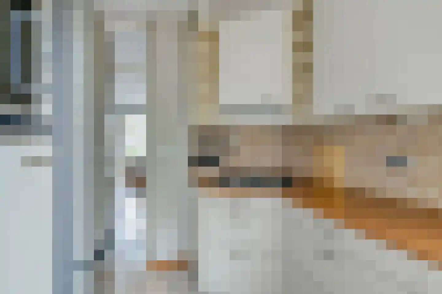 Jan van Delftstraat 31 Rosmalen thumbnail 18