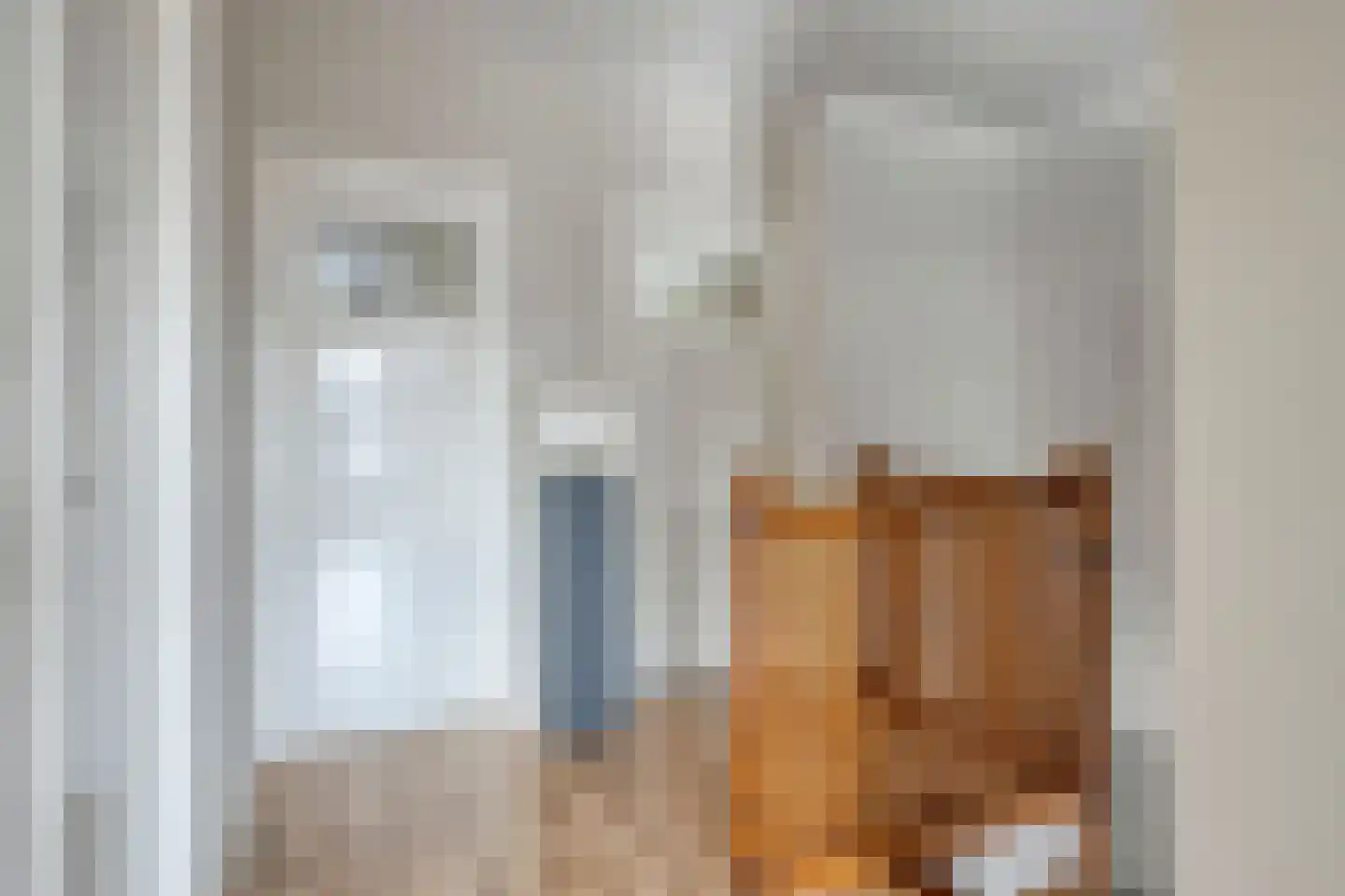 Jan van Delftstraat 31 Rosmalen thumbnail 23