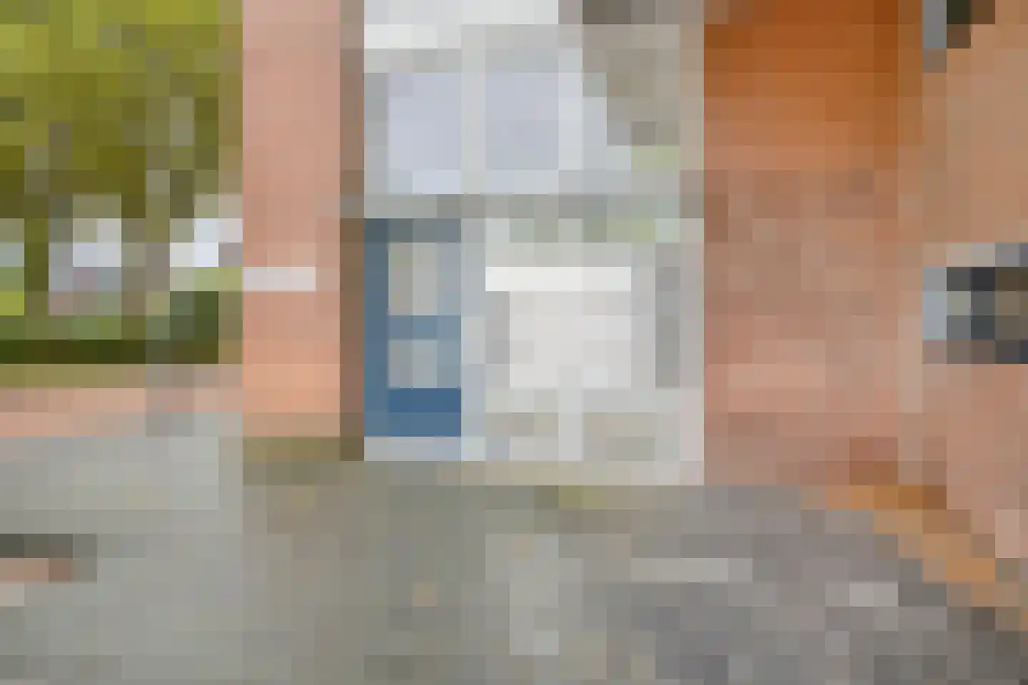 Jan van Delftstraat 31 Rosmalen thumbnail 4