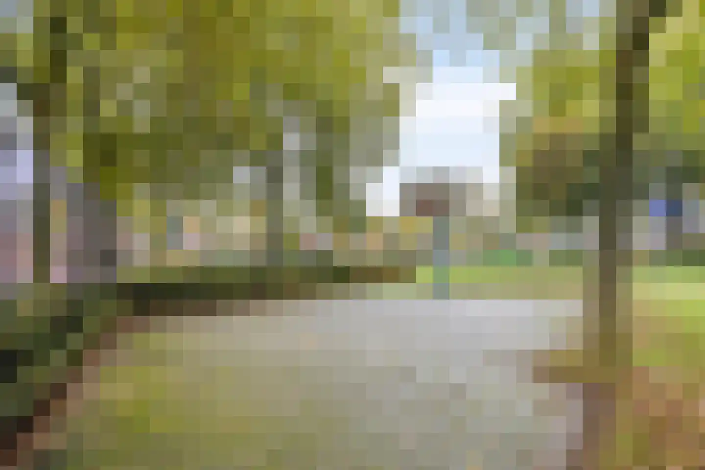 Jan van Delftstraat 31 Rosmalen thumbnail 43