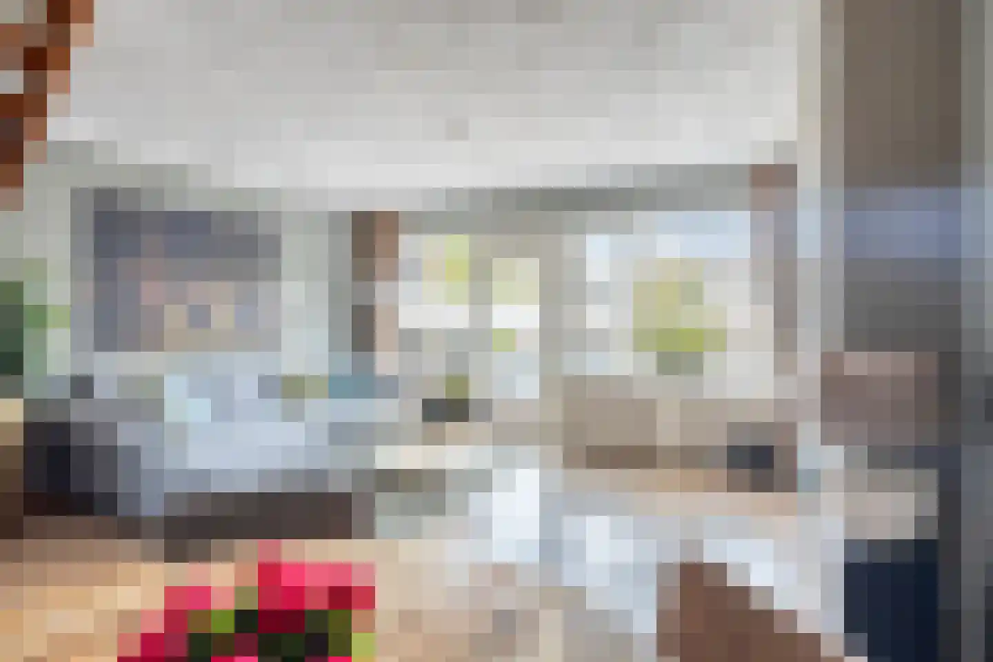 Jan van Delftstraat 31 Rosmalen thumbnail 9