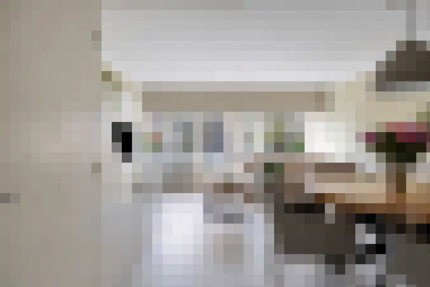 Jan van Delftstraat 35 Rosmalen thumbnail 10