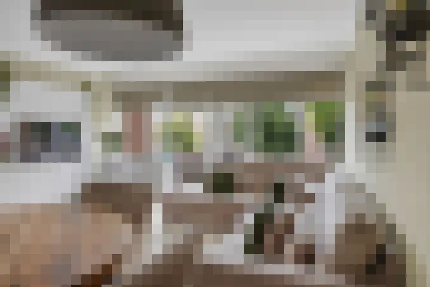 Jan van Delftstraat 35 Rosmalen thumbnail 12
