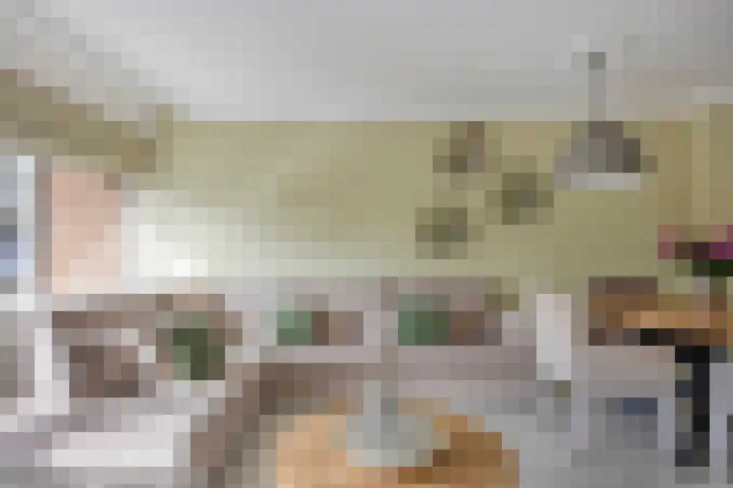 Jan van Delftstraat 35 Rosmalen thumbnail 12