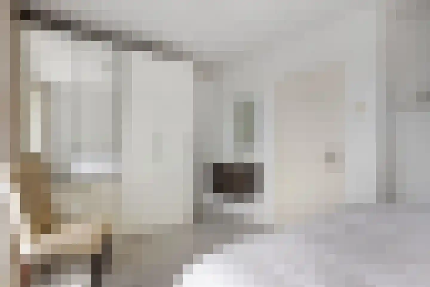 Jan van Delftstraat 35 Rosmalen thumbnail 31