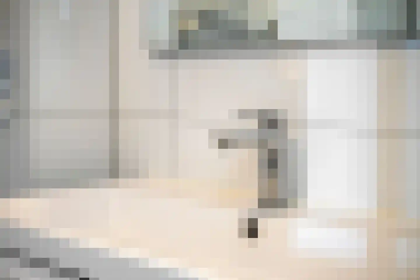 Jan van Delftstraat 35 Rosmalen thumbnail 37