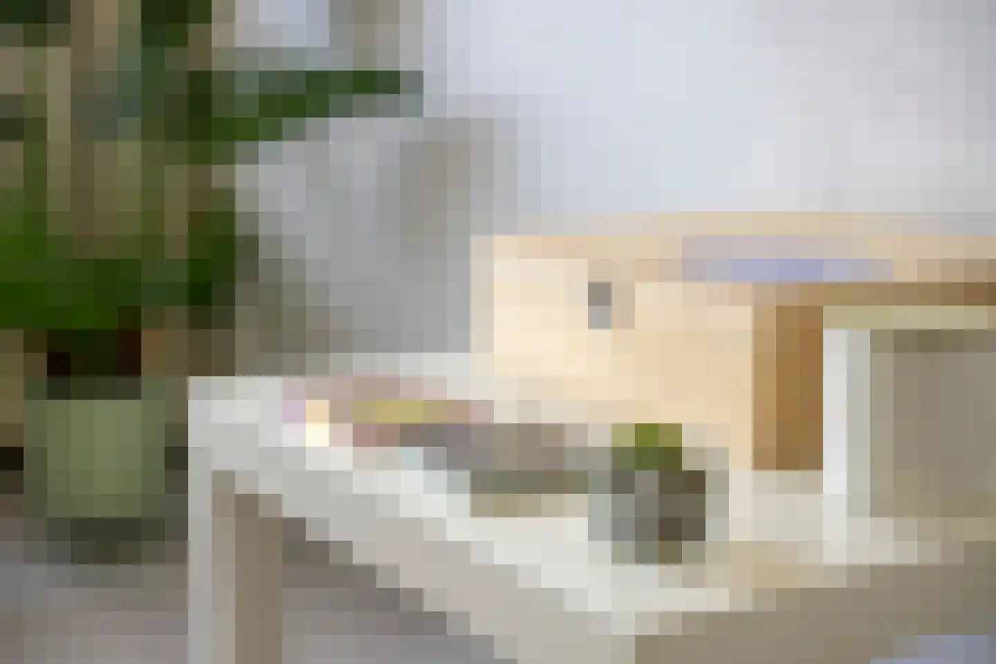 Jan van Delftstraat 35 Rosmalen thumbnail 42