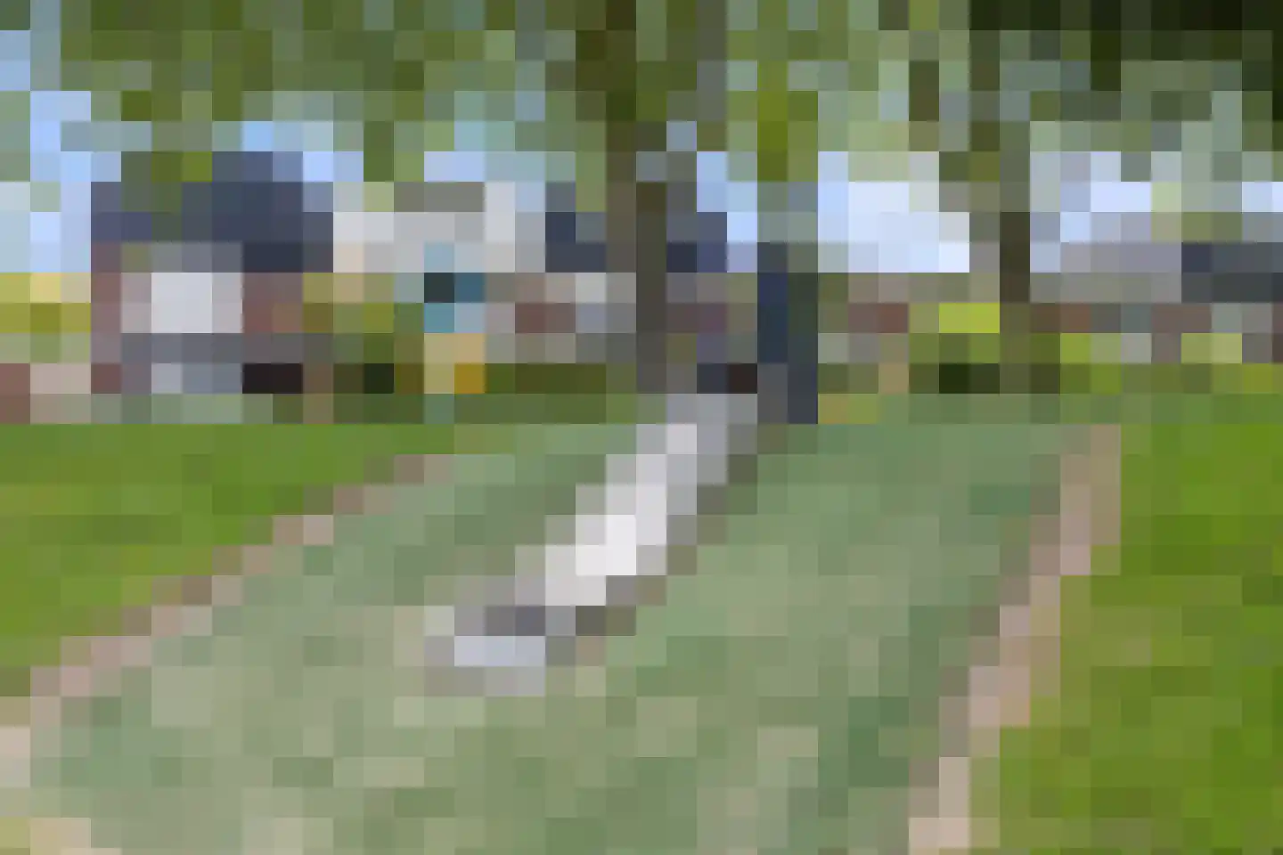 Jan van Delftstraat 35 Rosmalen thumbnail 42