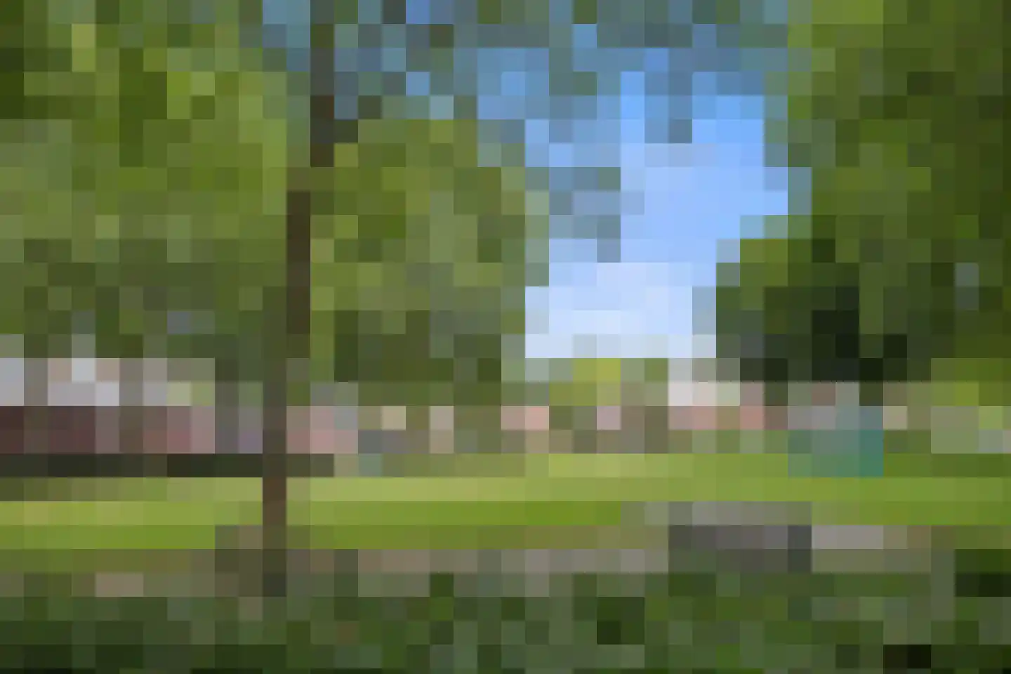Jan van Delftstraat 35 Rosmalen thumbnail 43