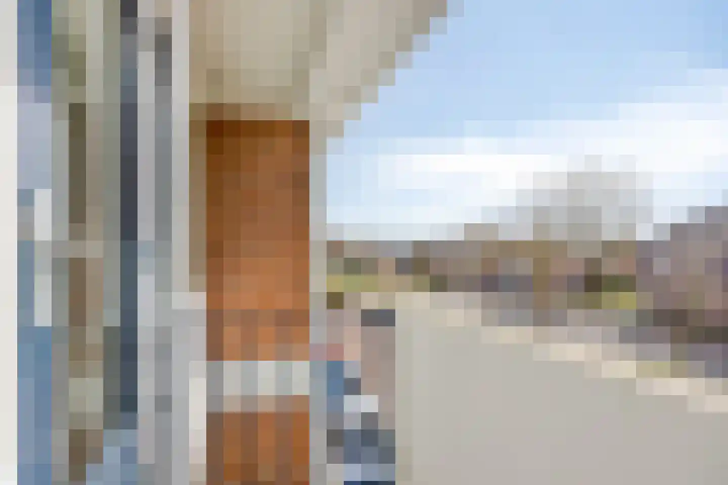 Jan van Delftstraat 35 Rosmalen thumbnail 47
